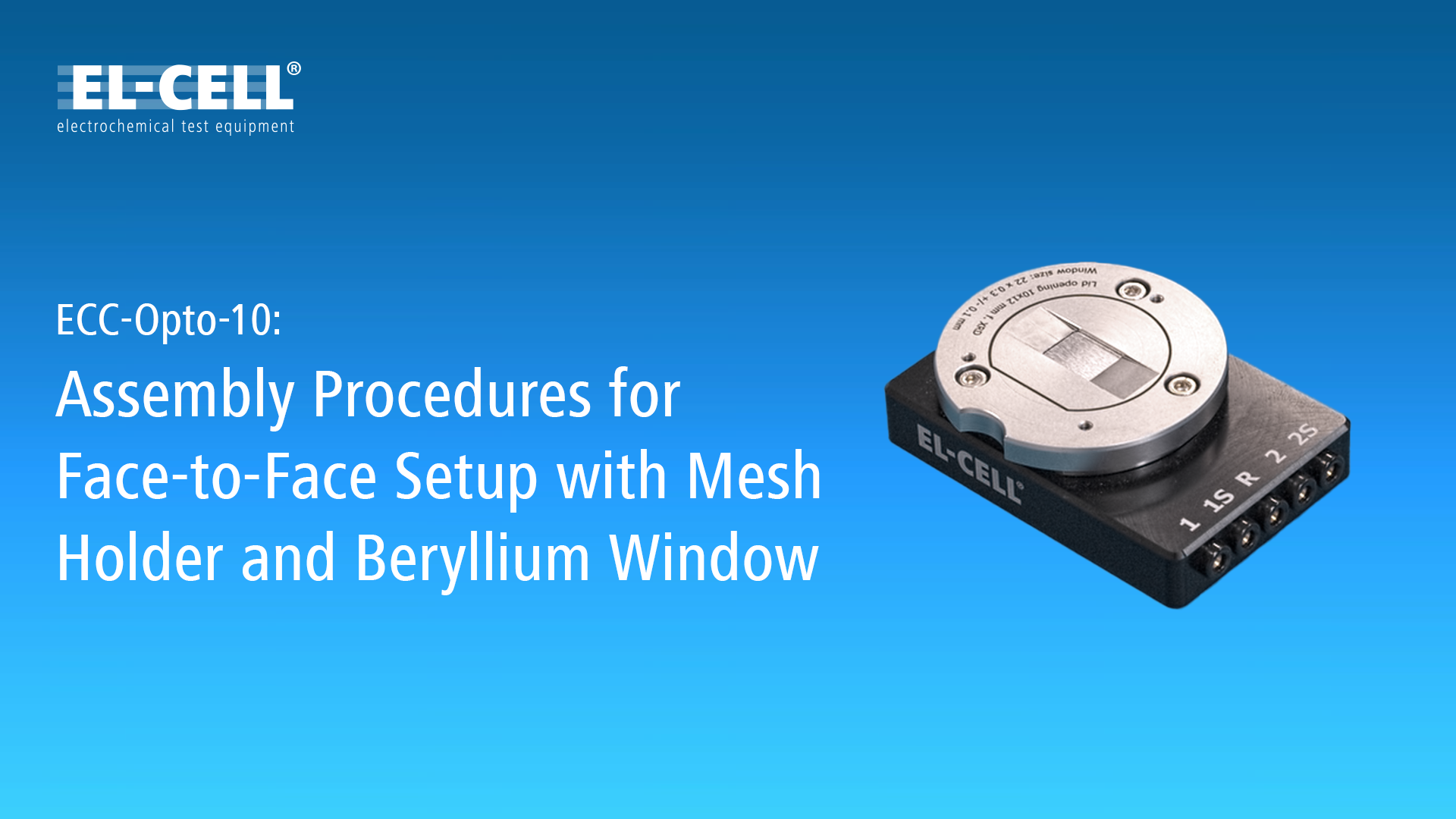 Assembly with face-to-face mesh electrode holder and beryllium window